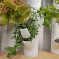 Người ủng hộ nhà máy hóa đơn - Thủy văn (phù hợp với Gardyn, rau diếp phát triển, Iharvest và các khu vườn thẳng đứng tương tự) - Thumbnail 3