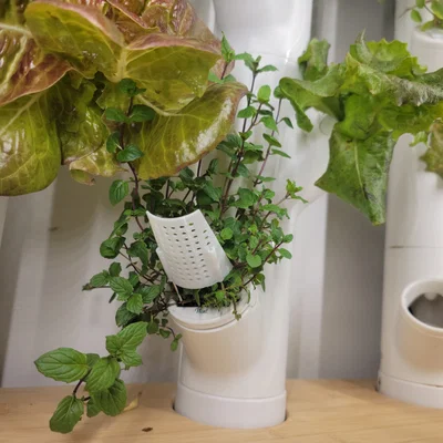 Người ủng hộ nhà máy hóa đơn - Thủy văn (phù hợp với Gardyn, rau diếp phát triển, Iharvest và các khu vườn thẳng đứng tương tự)