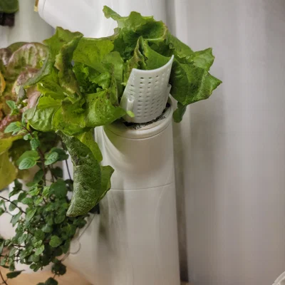 Người ủng hộ nhà máy hóa đơn - Thủy văn (phù hợp với Gardyn, rau diếp phát triển, Iharvest và các khu vườn thẳng đứng tương tự)