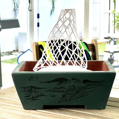 Hỗ trợ hợp nhất bonsai - Kỹ thuật Bonsai Fat Fat - Các loại chính thức và không chính thức