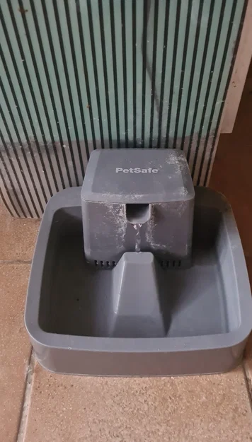 Thú cưng chạy - Image 3