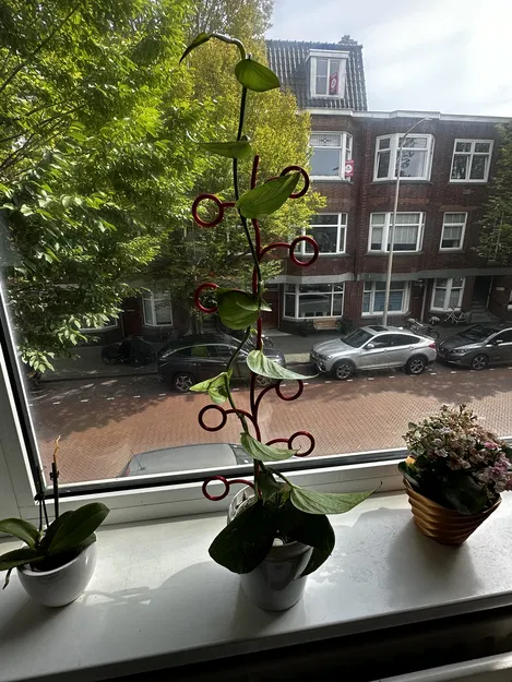 Climber thực vật mở rộng - Image 2