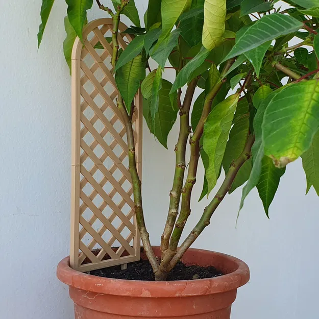 Nhà Trellis nhà máy (Phiên bản đơn & phiên bản mô -đun) - Image 1