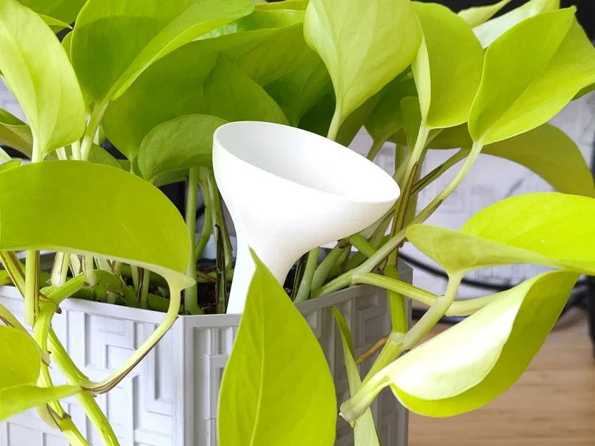 Tưới nước - cho cây và hoa trong nhà - chế độ bình hoa - Image 1