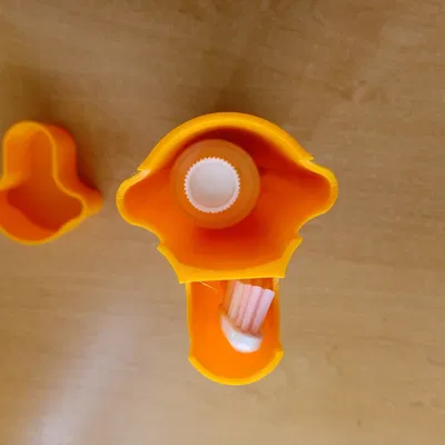 Hộp du lịch cho kem đánh răng và bàn chải