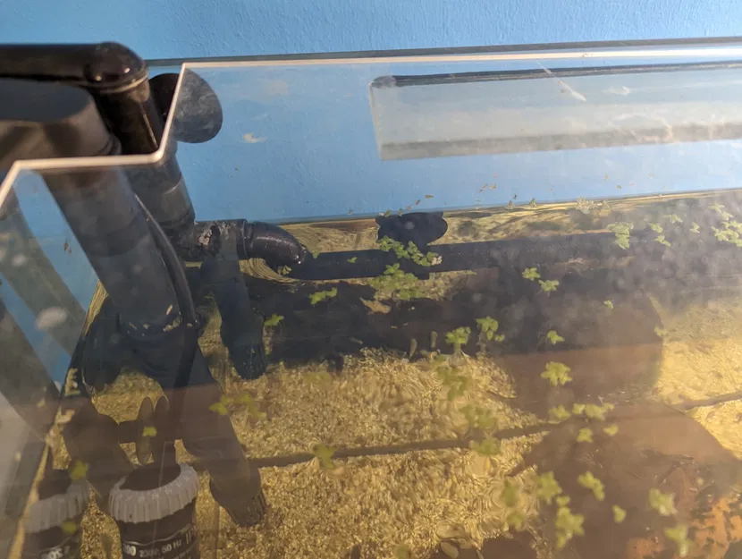 Ống nước cho hồ cá - Image 2