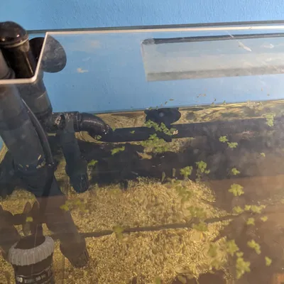 Ống nước cho hồ cá