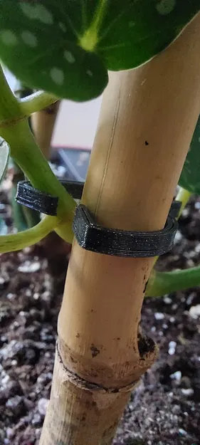 Người giữ nhà máy (Circlip) - Image 1