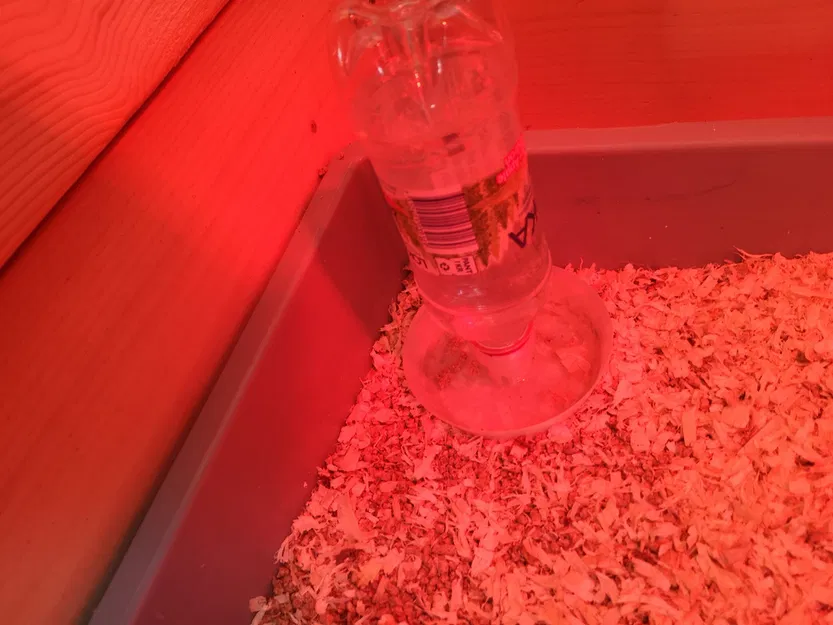 Nước nước tự động gà - Image 1