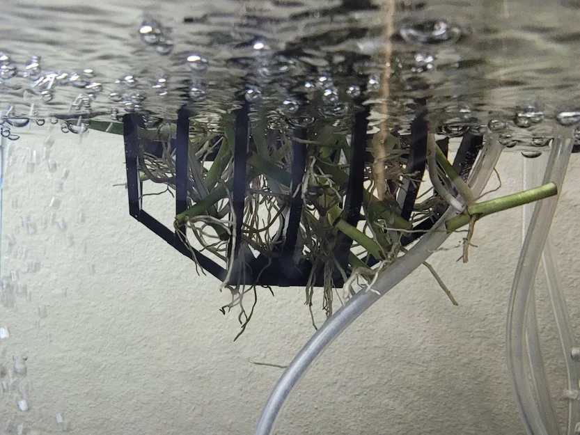 Người trồng hồ cá - *Không cần hỗ trợ * - Image 3