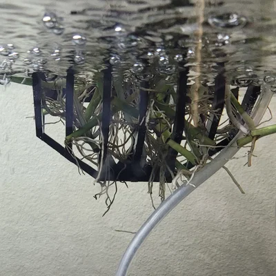 Người trồng hồ cá - *Không cần hỗ trợ *