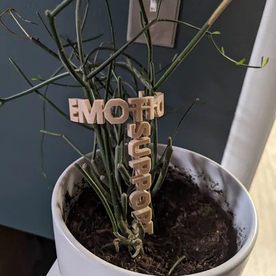 Hỗ trợ cảm xúc ... hỗ trợ