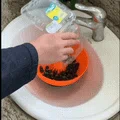 Máy làm sạch quả mọng được cung cấp năng lượng bằng nước máy - Thumbnail 2