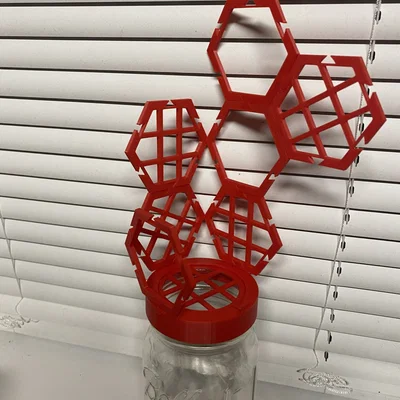 Mason Jar Hexagon Plant Climber/Hỗ trợ