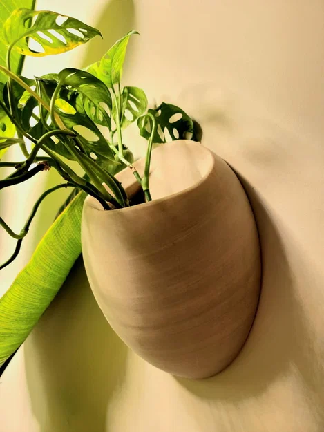 Người trồng cây treo tường lớn - Image 1