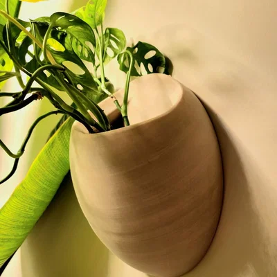 Người trồng cây treo tường lớn