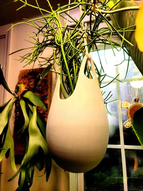 Nước mắt treo người trồng - Image 1
