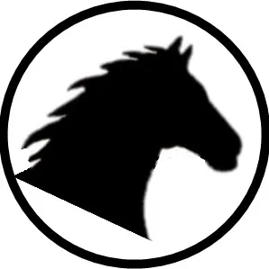 Nút ngựa/móc khóa - Image 6