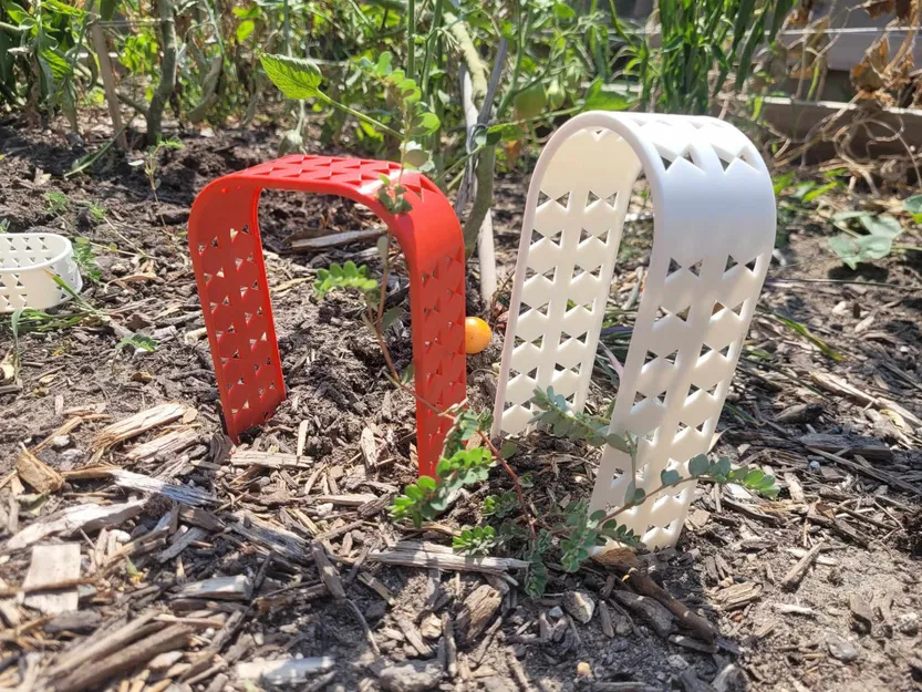 Trellis thực vật mọng nước hoặc nhỏ - Image 1