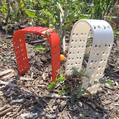 Trellis thực vật mọng nước hoặc nhỏ