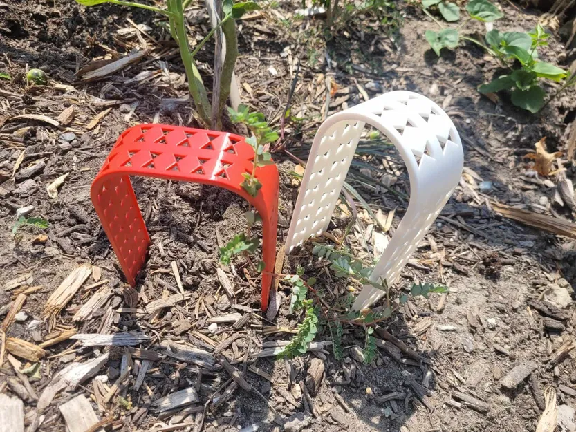 Trellis thực vật mọng nước hoặc nhỏ - Image 3