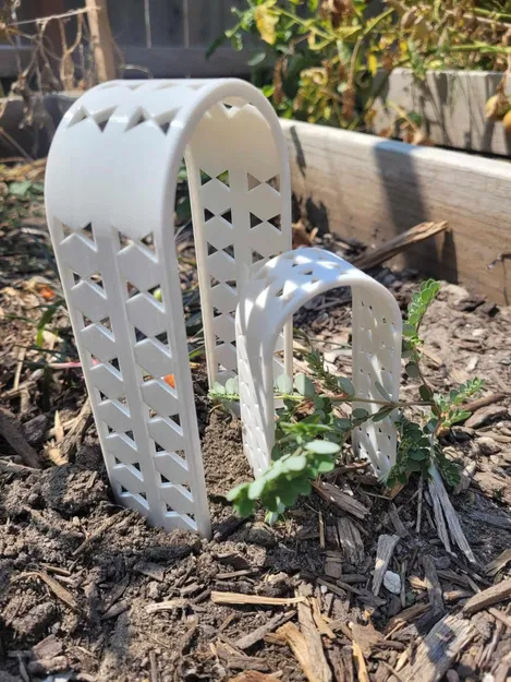 Trellis thực vật mọng nước hoặc nhỏ - Image 4