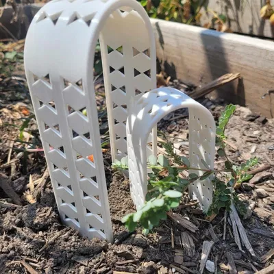 Trellis thực vật mọng nước hoặc nhỏ