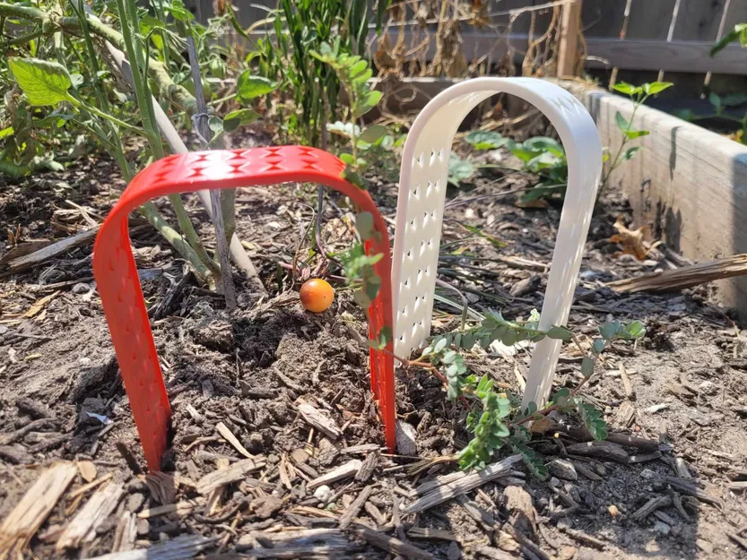 Trellis thực vật mọng nước hoặc nhỏ - Image 6