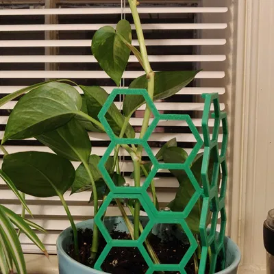 Mô -đun Hex Trellis