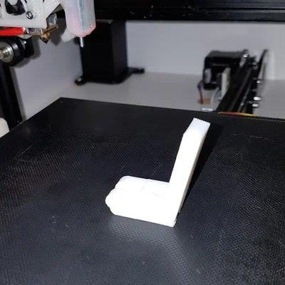 Bản lề cửa sổ đa bào