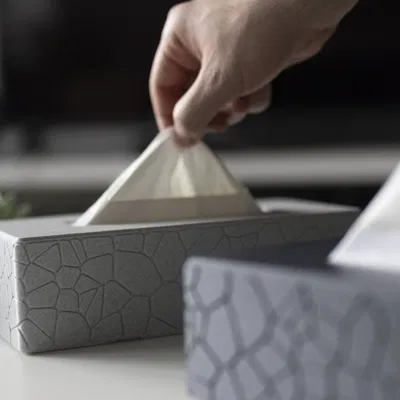 Bìa hộp mô số 1 - Mẫu đá cong