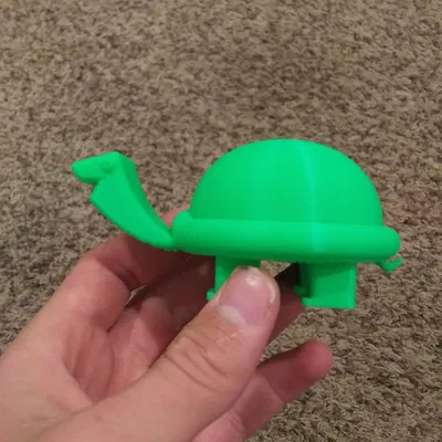 Rùa nhỏ dễ thương