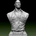 Tiến sĩ Bravestone Bust - Dwayne Johnson - Thumbnail 2