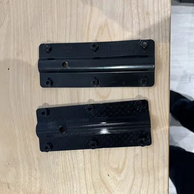 Treo cây xanh không có cây xanh