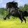 AmazingHorse