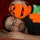 nikmd23_701434