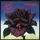 BlackRose67