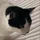 PaulJ_52380