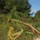 Teitgen3d_1300028