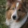 Steve_241612