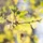Emile_240413