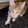 gimpy_193249