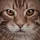 JonathanNicol_518125