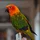 Jumpster_573879