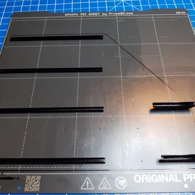 SEALS ORCELATION HEALS ban đầu