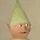 Gnome