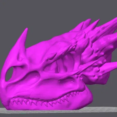 Xương đầu rồng in 3D thiết kế cân bằng và đẹp mắt