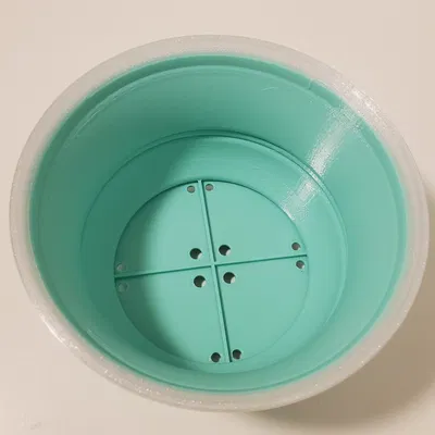 Chậu cây bonsai 6 inch cho cây cảnh trong nhà