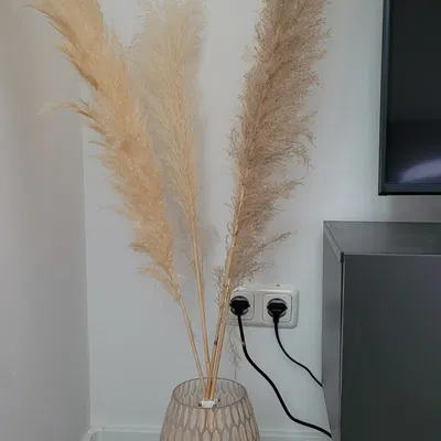 Giá đỡ Pampa Gras sử dụng đai ốc và bu lông M3