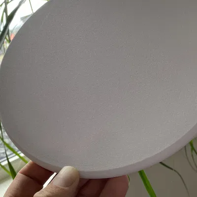 Frisbee 210mm cho trẻ em in 3D